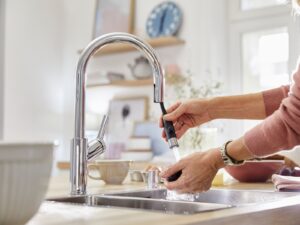 Blanco Wasserhahn Blanco-Carena-Spuele-mit-Schlauchbrause